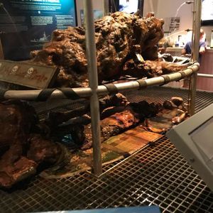 Meet your Posher, Nikcolas